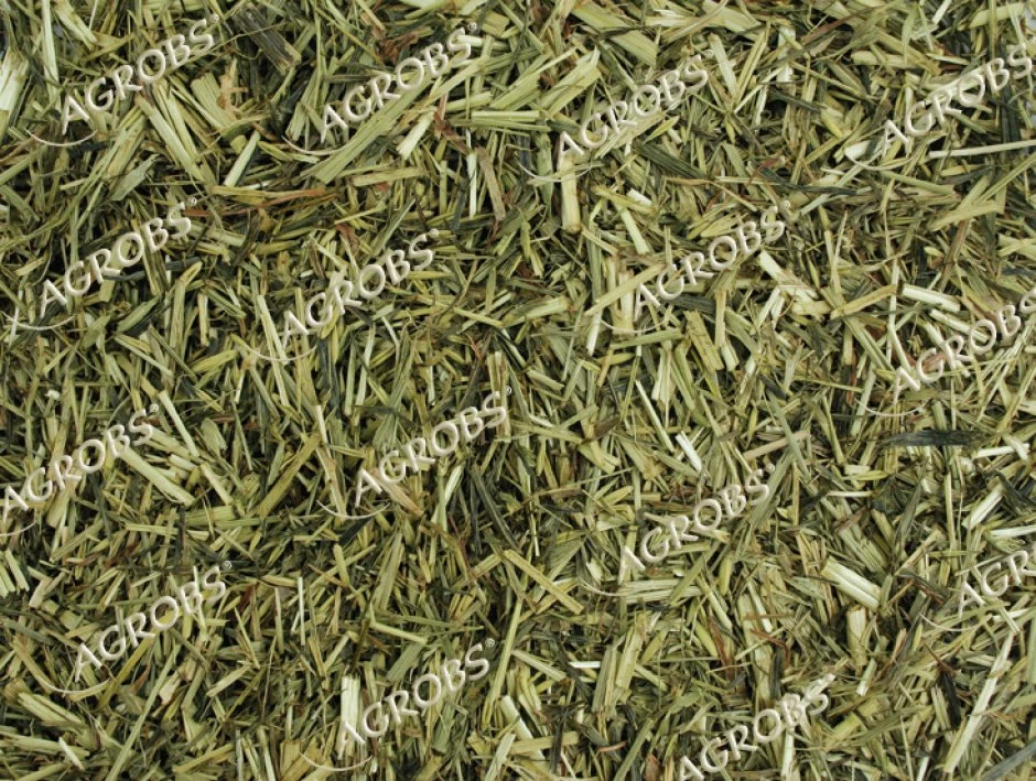 Agrobs Grünhafer 15kg 2 Agrobs Grünhafer 15kg – Bild 2