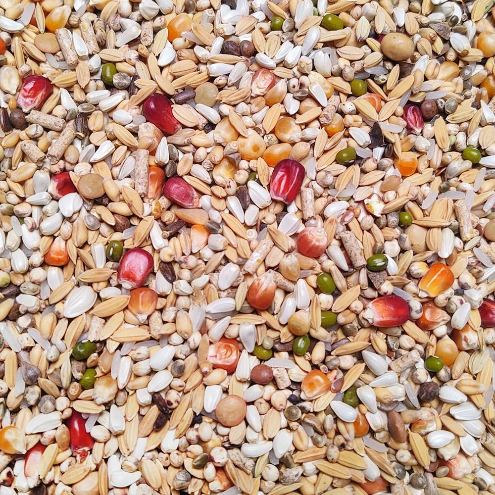 Vanrobaeys Nr.57 Sport Light Pro - Revolution 20kg 1 Vanrobaeys Nr.57 Sport Light Pro - Revolution 20kg