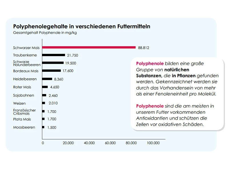 Versele Master Black 20kg 3 Versele Master Black 20kg – Bild 3