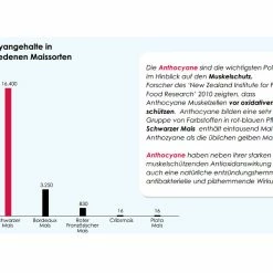 Versele Master Witwer 20kg 7 Versele Master Witwer 20kg -Tauben Geschaft antioxidantien 21