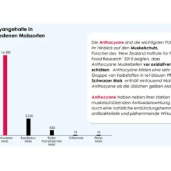 Versele Master Diät Relax 20kg -Tauben Geschaft antioxidantien 23
