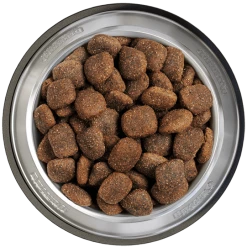 Belcando Adult Power 2er-Pack 25kg -Tauben Geschaft belcando napf adult power 800x8000