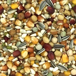 Beyers Galaxy Long Distance TT 20kg