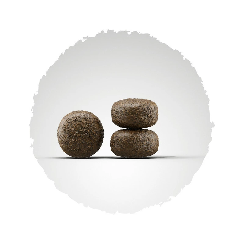 Josera Light&Vital 2er-Pack 30kg 2 Josera Light&Vital 2er-Pack 30kg – Bild 2