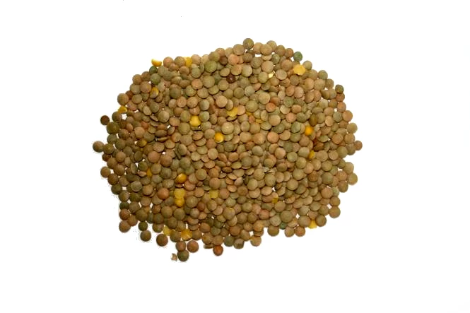 Linsen - Vanrobaeys 25kg 1 Linsen - Vanrobaeys 25kg