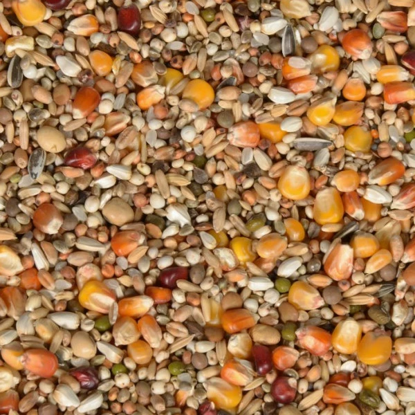 Vanrobaeys Nr.187 Premium Power Sport 20kg 1 Vanrobaeys Nr.187 Premium Power Sport 20kg