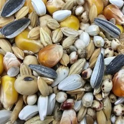 Paloma Nr.16 Weibchen Sieger + Jungtauben 25kg