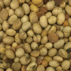 Soja GVO-Frei - Spinne 25kg