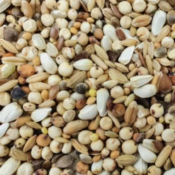 Spinne D.A. Sonderklasse 20kg